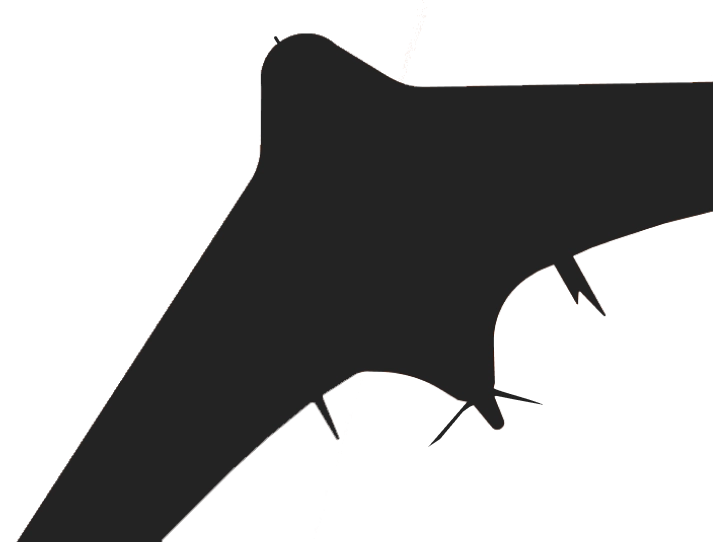 drone image